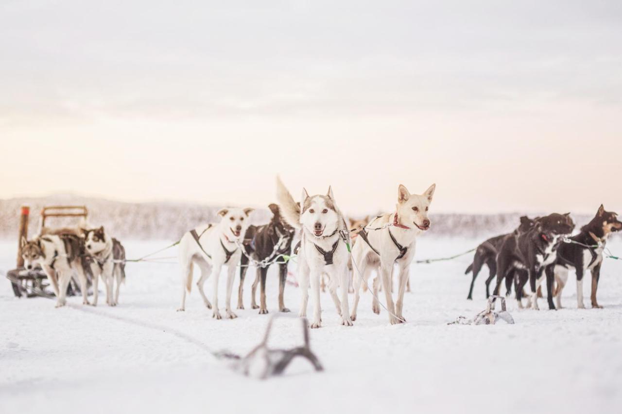 Korpikartano Inari